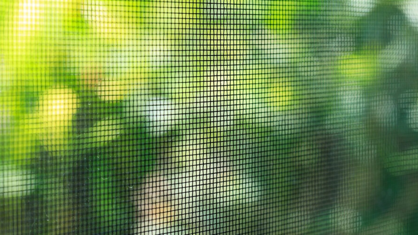 Mosquiteros: protección y comodidad en tu hogar