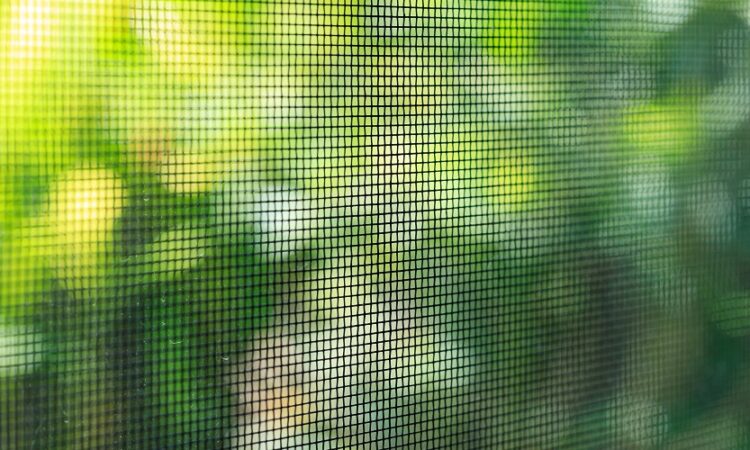 Mosquiteros: protección y comodidad en tu hogar